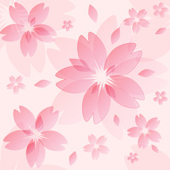 sakura blossom texture