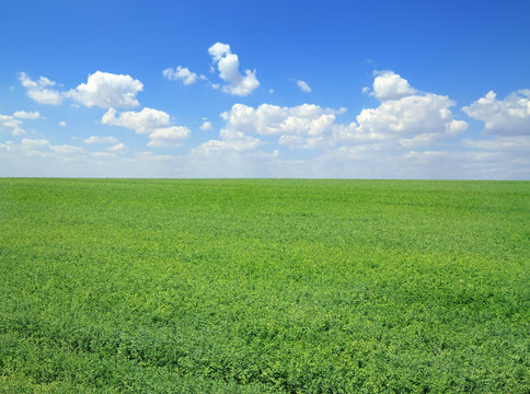 Springtime landscape