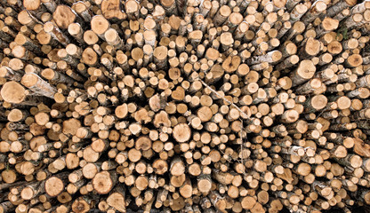 Firewood logs