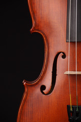 Violin