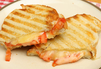 Toasted Cheese & Tomato Sandwich