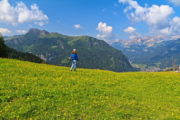 Fototapeta na wymiar Dolomites - hiker on flowered meadow