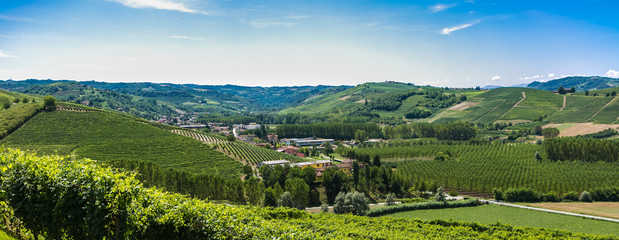 italian vineyards