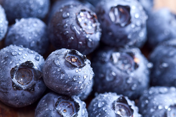 Freshly picked blueberries