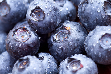 Freshly picked blueberries