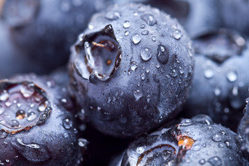 Freshly picked blueberries