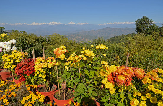 Blick von Dhulikel auf den Himalaya / Nepal