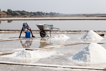 Man worker in salt pan