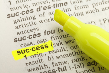 Success Definition