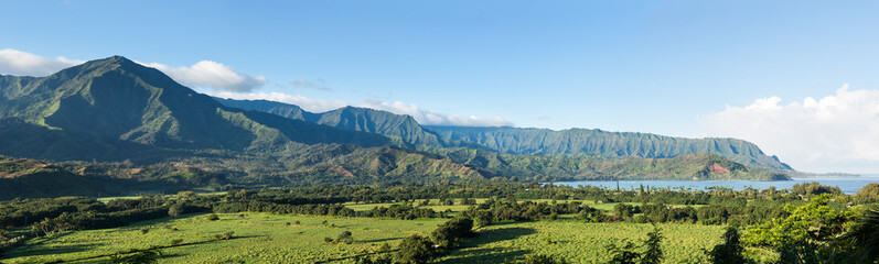 Fototapeta na wymiar Panorama of Hanalei on island of Kauai