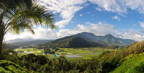 Hanalei valley from Princeville overlook Kauai