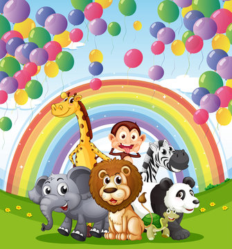 Animals below the  floating balloons and rainbow