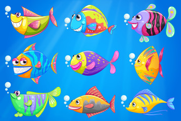 Nine colorful fishes under the sea