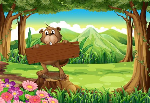 A beaver holding an empty signboard at the forest