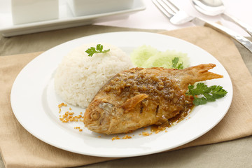 fried fish steak for healthy food