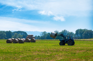 The tractor on the field gathers hay