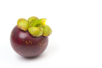 Mangosteen .