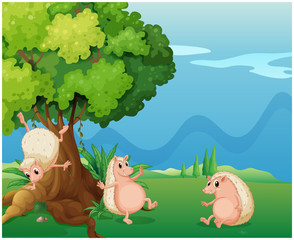 Obraz na płótnie Canvas Three playful molehogs near the old tree