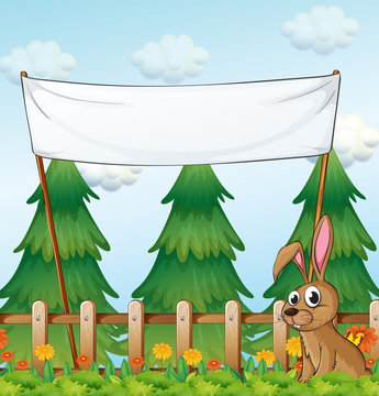 A rabbit near the wooden fence below the empty banner