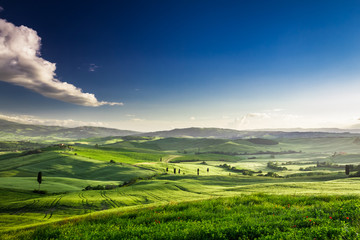 Fototapeta premium Beautiful view of the green valley at sunset, Tuscany