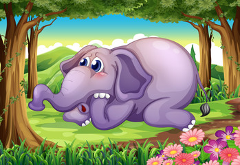 Fototapeta premium A sad elephant at the forest