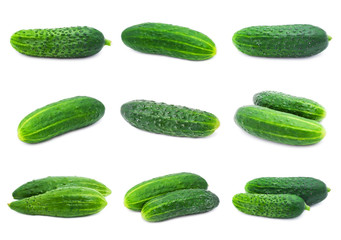 Cucumbers