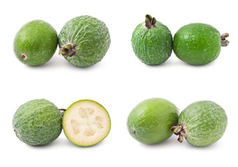 Feijoa
