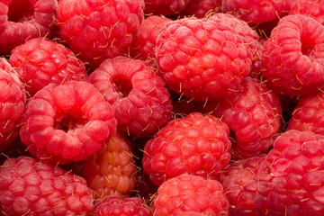 Raspberries
