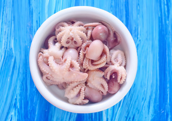 octopus