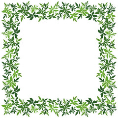 Background, frame of green leaves