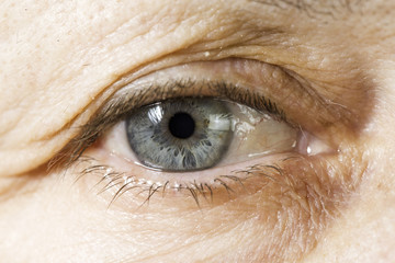 Naklejka premium Close up old women eye