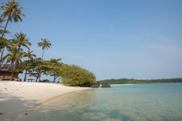 thailand beach, beautiful Thailand beach with coconut palm tree