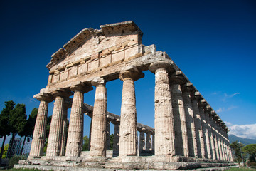 Fototapeta premium Paestum Temple, Campania, Italy