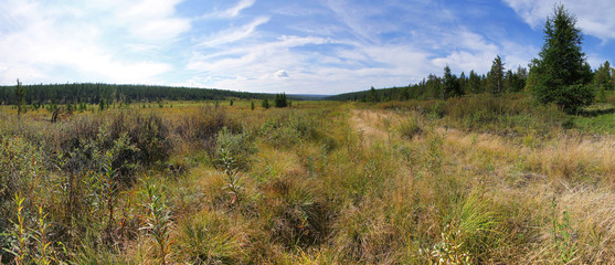 Valley in Southern Yakutia