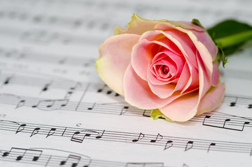 Sheet of classical notes