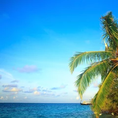 Papier peint photo  Untouched tropical beach in Maldives  © fotomaximum