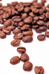 Isolated shot of coffee beans