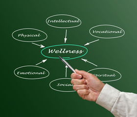 Diagram of wellness