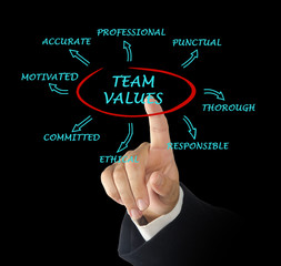 team values and norms