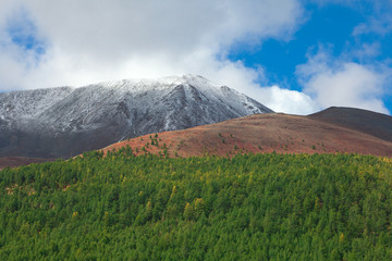 Fototapeta premium Mountain Siberian taiga