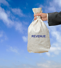 Bag with revenue