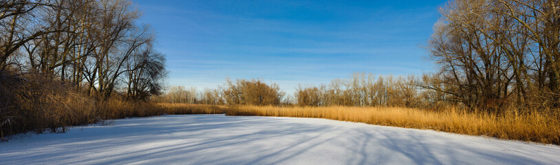 winter landscape on the lake