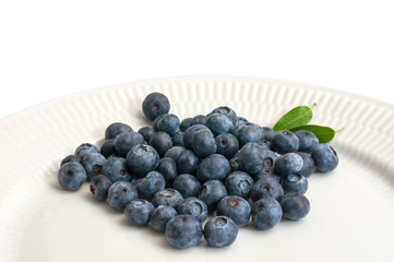 Nice blueberries