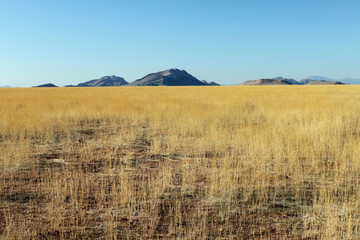 ナミビア、セスリエムのサバンナ地帯