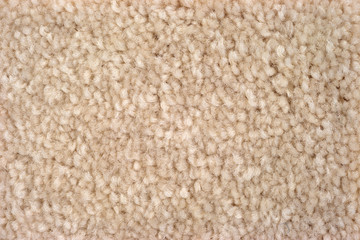 Close view of plush tan carpeting