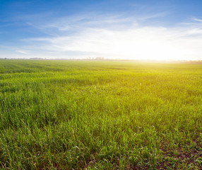 evening rural scene