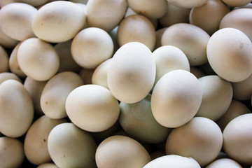 fresh duck eggs in the thai market