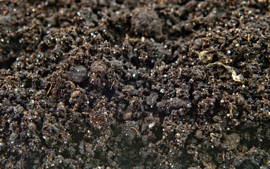 soil texture