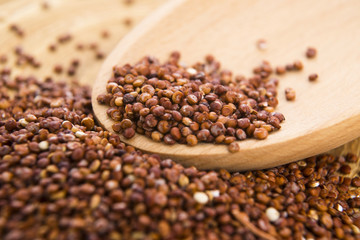 Red Quinoa grain