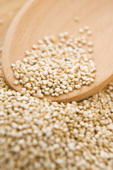 Quinoa grain